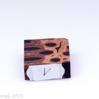Ring Blank Banksiazapfen schwarz – Bild 2