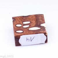 Ring Blank Banksiazapfen cremeweiß – Bild 2