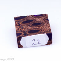 Ring Blank Banksiazapfen violett blau metallic